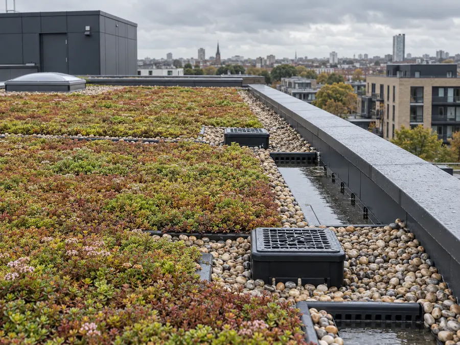 Planted roof build-up flat roof visualisation
